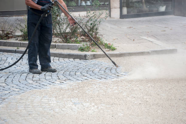 Best Restaurant Pressure Washing  in Dilley, TX