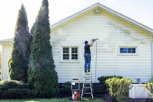 Best Driveway Pressure Washing  in Dilley, TX